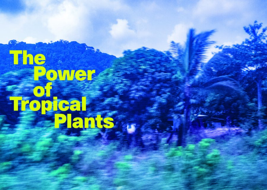 The Power of Tropical Plants - 2022